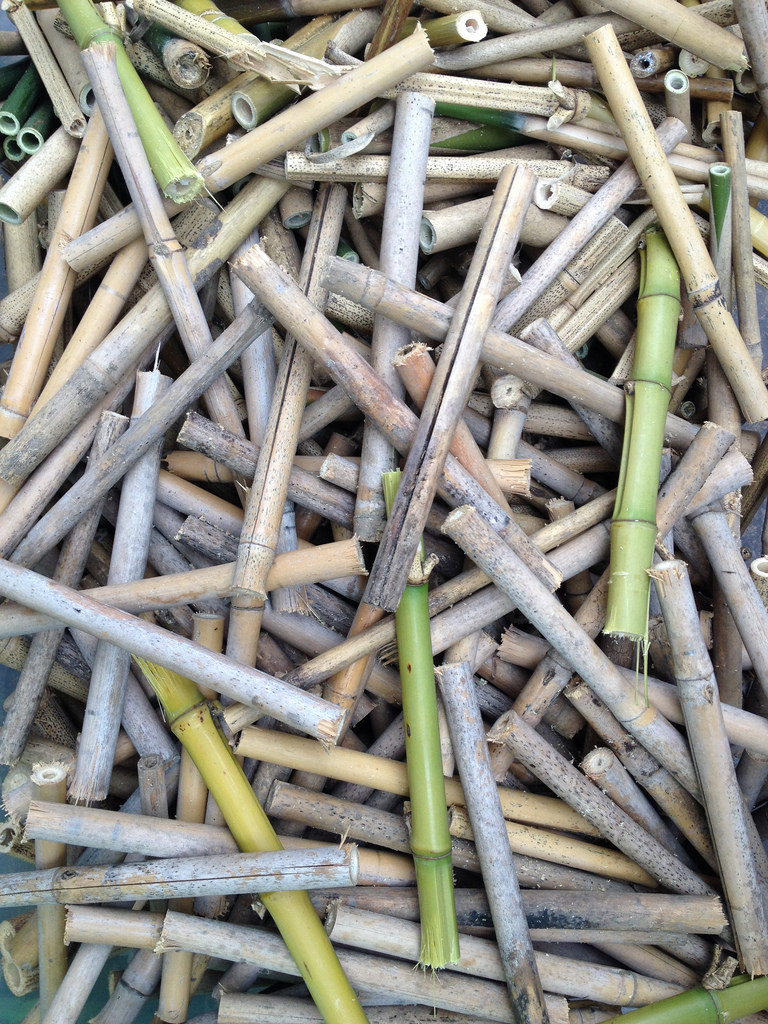 1040-holle-stengels_hoop-p768